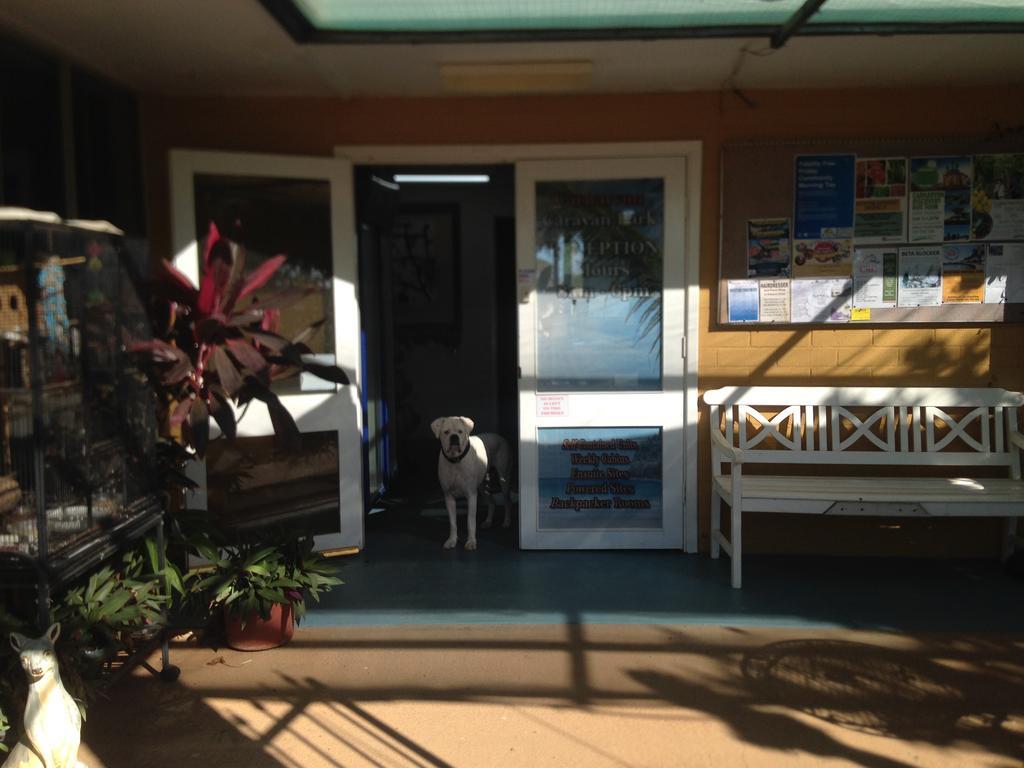 Carnarvon Caravan Park Extérieur photo